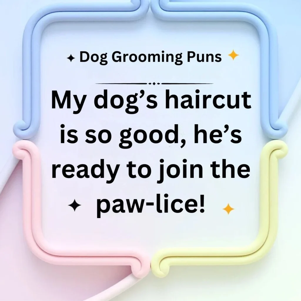 Dog Grooming Puns