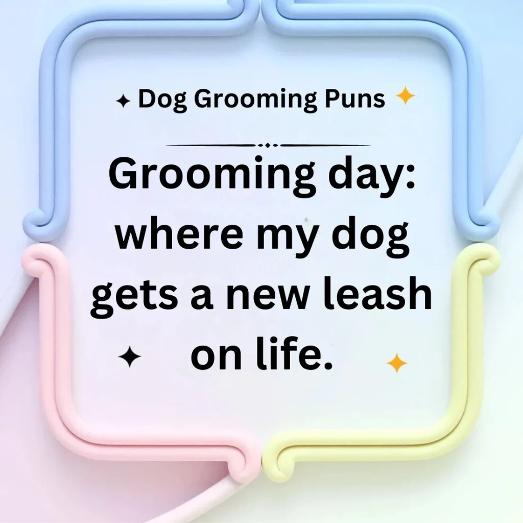 Dog Grooming Puns