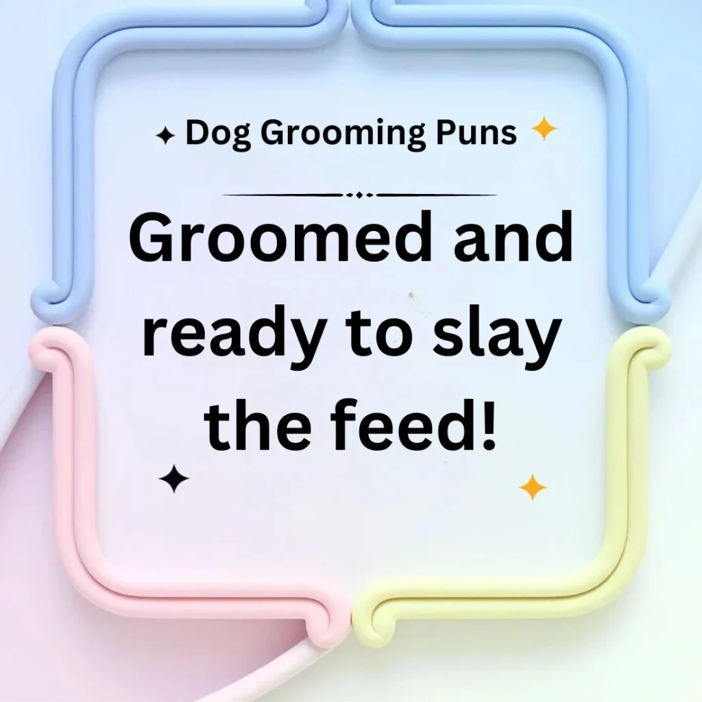 Dog Grooming Puns