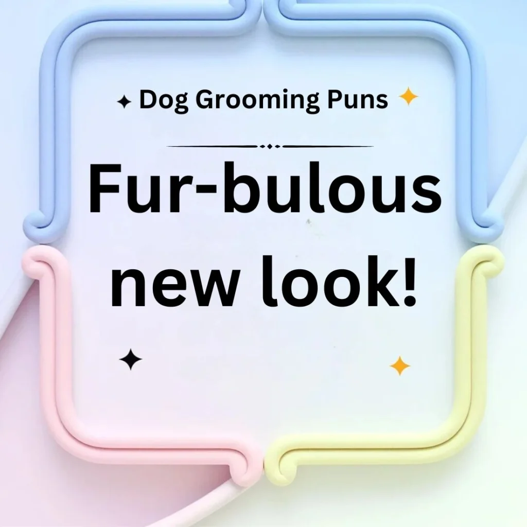 Dog Grooming Puns