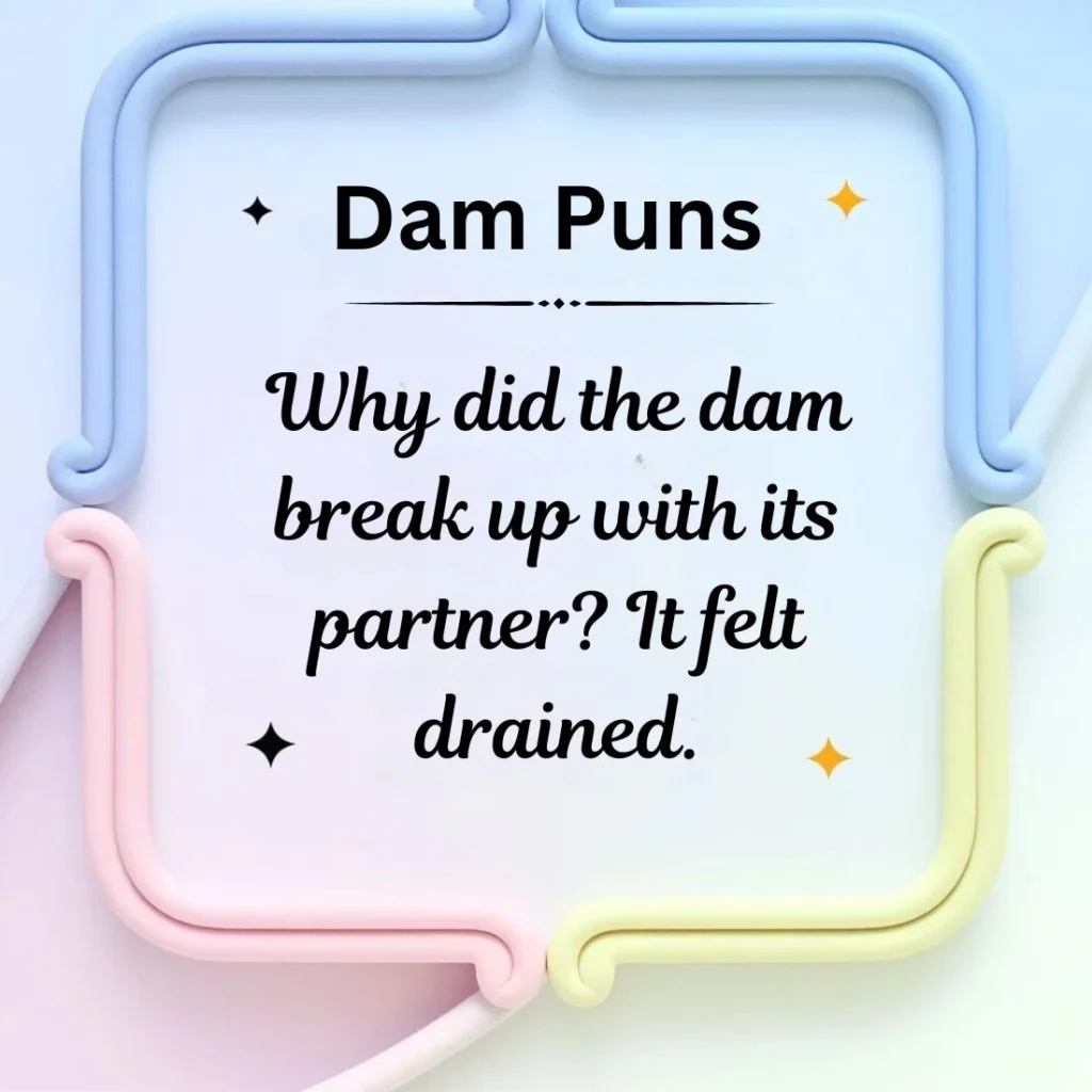 Dam Puns